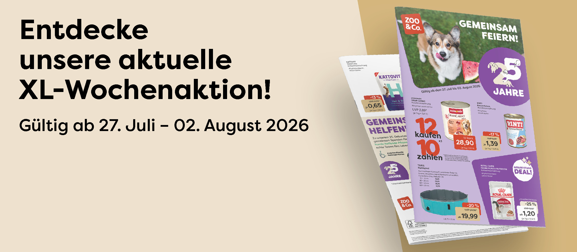 Entdecke die Aktion!
